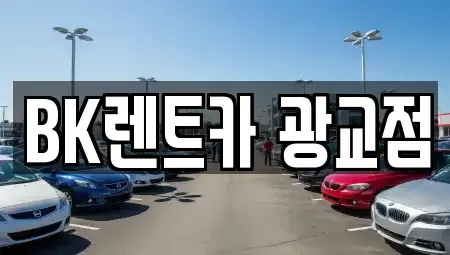 경기 수원시 영통구 이의동 장기렌트카 전문 BK렌트카 광교점