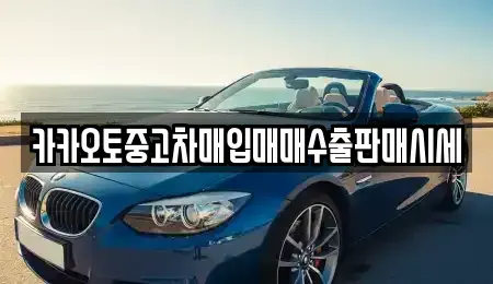 경기 수원시 영통구 이의동 중고차매입 전문 카카오토중고차매입매매수출판매시세