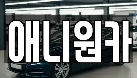 경기 안산시 상록구 사사동 장기렌트카 전문 애니원카