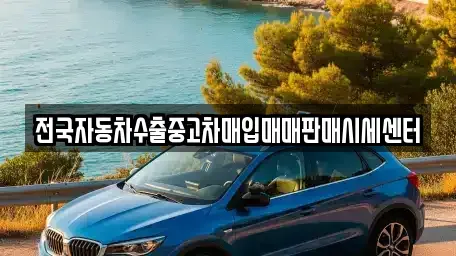 경기 안산시 상록구 사사동 중고차매매 전문 전국자동차수출중고차매입매매판매시세센터