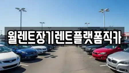 경기 양주시 회암동 렌트카,단기렌트카,장기렌트카,중고차,중고차매매,중고차매입