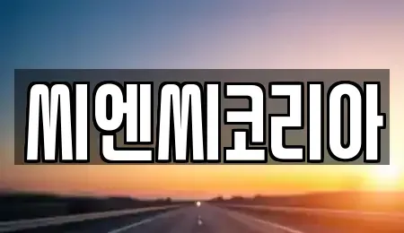 경기 오산시 수청동 렌트카 전문 씨엔씨코리아