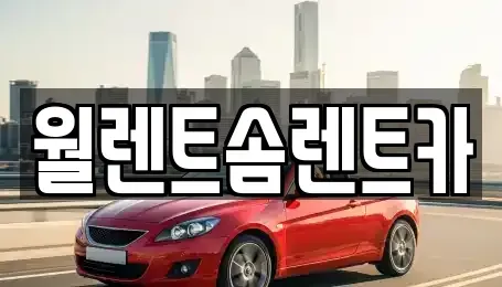 경기 오산시 수청동 렌트카 전문 월렌트솜렌트카