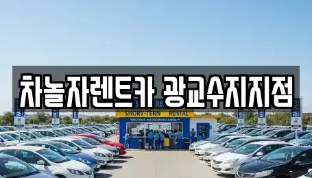 경기 용인시 수지구 성복동 단기렌트카,중고차매입,중고차매매,중고차,렌트카,장기렌트카