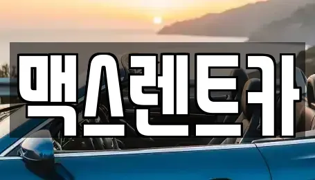 경기 용인시 수지구 성복동 렌트카 전문 맥스렌트카