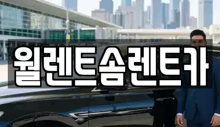 경기 용인시 수지구 성복동 렌트카 전문 월렌트솜렌트카