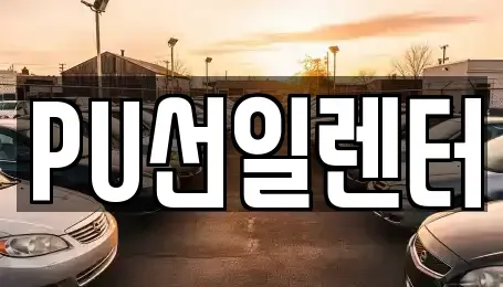 경기 용인시 수지구 성복동 장기렌트카 전문 PU선일렌터