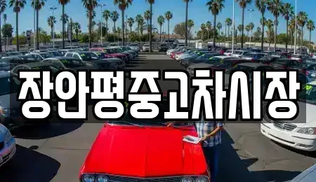 경기 용인시 수지구 성복동 중고차매매 전문 장안평중고차시장