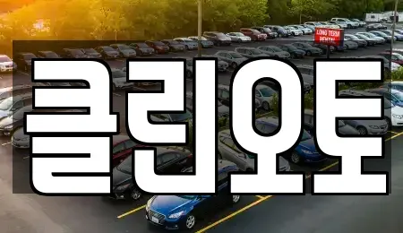 경기 용인시 수지구 성복동 중고차매매 전문 클린오토