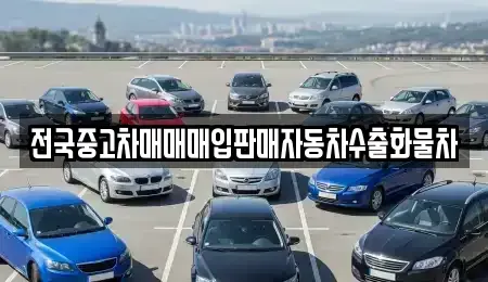 경기 용인시 수지구 성복동 중고차매입 전문 전국중고차매매매입판매자동차수출화물차