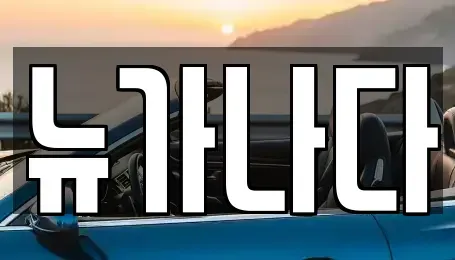 경기 파주시 서패동 렌트카 전문 뉴가나다