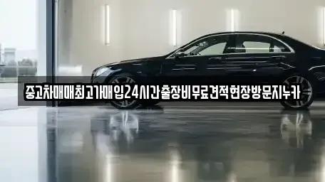 경기 파주시 서패동 중고차 전문 중고차매매최고가매입24시간출장비무료견적현장방문지누카