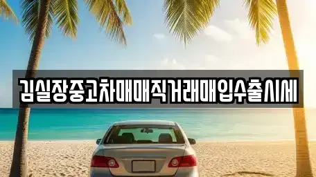 경기 파주시 송촌동 중고차 전문 김실장중고차매매직거래매입수출시세