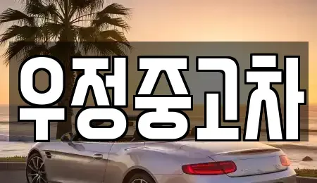 경기 파주시 송촌동 중고차 전문 우정중고차