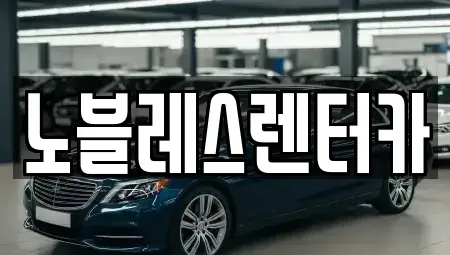 경기도 성남시 분당구 금곡동 렌트카 전문 노블레스렌터카