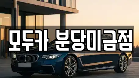 경기도 성남시 분당구 금곡동 렌트카 전문 모두카 분당미금점