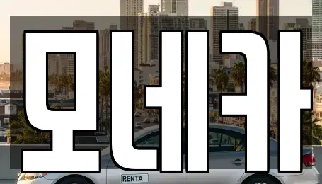 경기도 성남시 분당구 금곡동 장기렌트카 전문 모네카