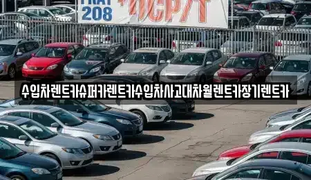경기도 성남시 분당구 금곡동 장기렌트카,중고차,렌트카,단기렌트카,중고차매입,중고차매매