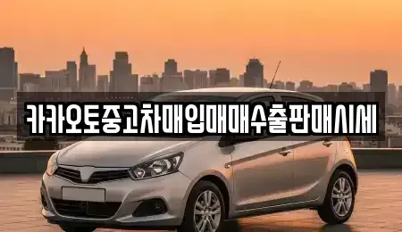 경기도 성남시 분당구 금곡동 중고차 전문 카카오토중고차매입매매수출판매시세