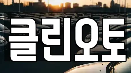 경기도 성남시 분당구 금곡동 중고차 전문 클린오토