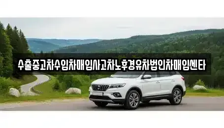 경기도 성남시 분당구 금곡동 중고차매입 전문 수출중고차수입차매입사고차노후경유차법인차매입센타