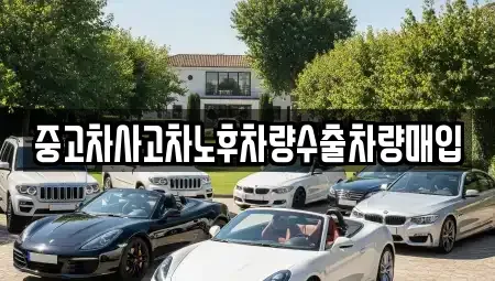 경기도 성남시 분당구 금곡동 중고차매입 전문 중고차사고차노후차량수출차량매입