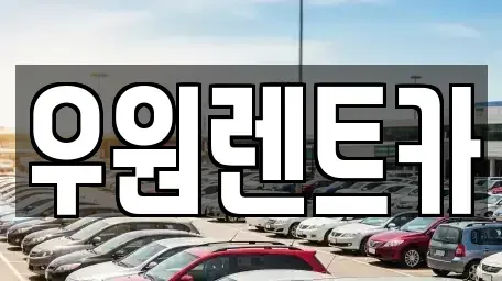 경기도 수원시 권선구 곡반정동 렌트카 전문 우원렌트카