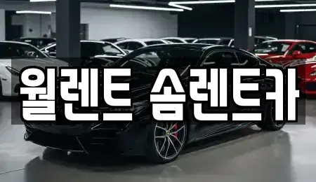 경기도 수원시 권선구 곡반정동 렌트카 전문 월렌트 솜렌트카