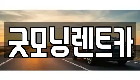 경기도 수원시 영통구 원천동 렌트카 전문 굿모닝렌트카