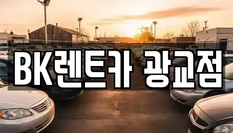 경기도 수원시 영통구 원천동 장기렌트카 전문 BK렌트카 광교점