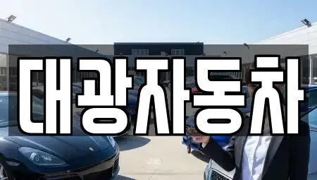 경기도 수원시 영통구 원천동 중고차 전문 대광자동차