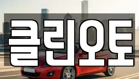 경기도 수원시 영통구 원천동 중고차 전문 클린오토