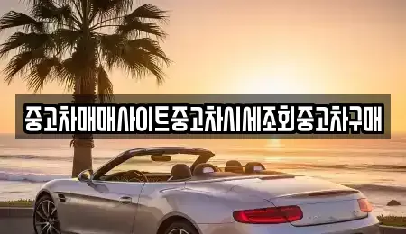 경기도 연천군 백학면 중고차 전문 중고차매매사이트중고차시세조회중고차구매