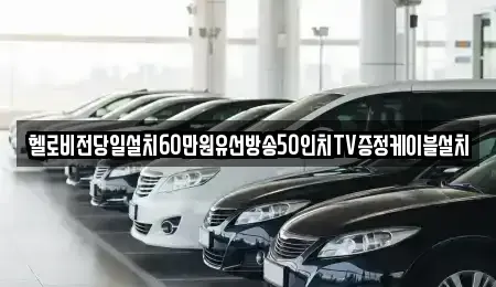 경기도 연천군 백학면 중고차매입 전문 헬로비전당일설치60만원유선방송50인치TV증정케이블설치
