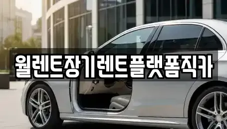 경기도 용인시 처인구 삼가동 장기렌트카 전문 월렌트장기렌트플랫폼직카