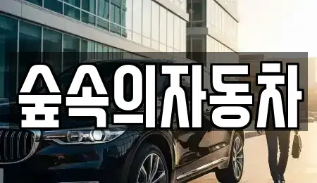 경남 양산시 물금읍 렌트카 전문 숲속의자동차