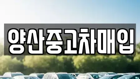 경남 양산시 물금읍 중고차매매,단기렌트카,중고차매입,장기렌트카,중고차,렌트카