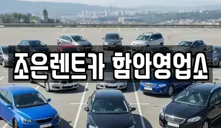 경남 함안군 칠서면 렌트카 전문 조은렌트카 함안영업소