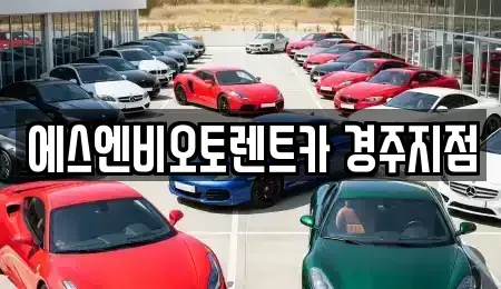 경북 경주시 서부동 렌트카 전문 에스엔비오토렌트카 경주지점