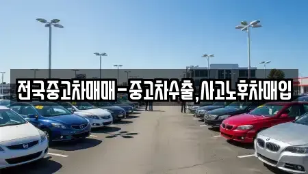 경북 경주시 서부동 중고차 전문 전국중고차매매-중고차수출,사고노후차매입