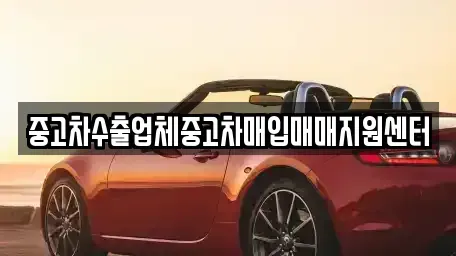 경북 경주시 서부동 중고차매입 전문 중고차수출업체중고차매입매매지원센터