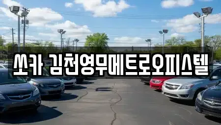 경북 김천시 아포읍 렌트카 전문 쏘카 김천영무메트로오피스텔