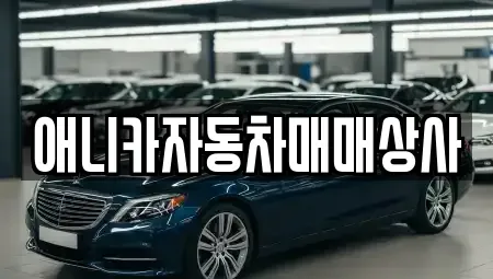 경북 김천시 아포읍 중고차 전문 애니카자동차매매상사