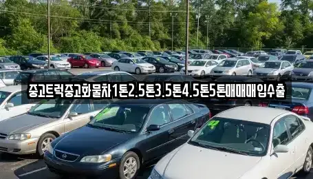 경북 김천시 아포읍 중고차매입 전문 중고트럭중고화물차1톤2.5톤3.5톤4.5톤5톤매매매입수출
