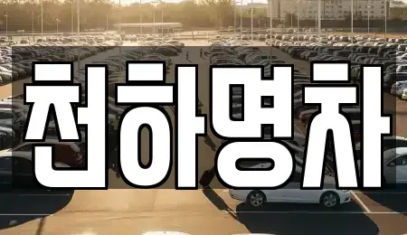 경북 김천시 아포읍 중고차매입 전문 천하명차