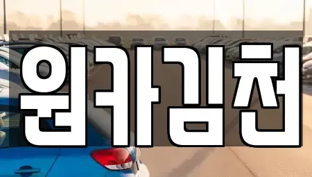 경북 김천시 지좌동 렌트카 전문 원카김천