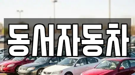 경북 김천시 지좌동 중고차 전문 동서자동차