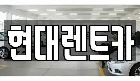 경북 포항시 남구 송내동 렌트카 전문 현대렌트카