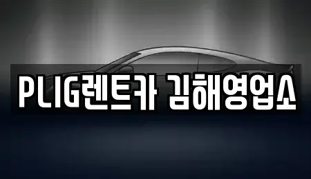 경상남도 김해시 진영읍 렌트카 전문 PLIG렌트카 김해영업소