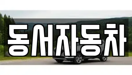 경상남도 밀양시 상남면 중고차 전문 동서자동차